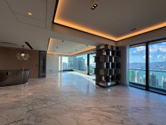 天御 西半山 高層 1765898 售盤