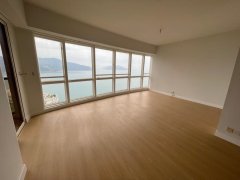浪琴园 大潭 高层 M205438 售盘