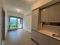 柏瓏 元朗 低層 1759354 售盤