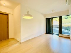 满名山 屯门 低层 A051099 售盘