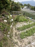 七星崗 元朗 Y036367 售盤