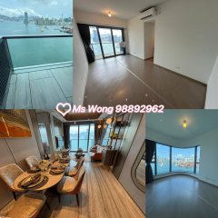 维港湾畔 启德 1741234 售盘