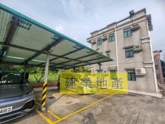 坪輋 粉嶺 低層 003241 售盤