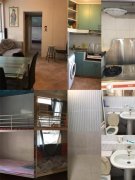 海福花园 沙田 高层 T012464 售盘