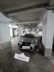 威胜大厦 中半山 地库 115488 售盘