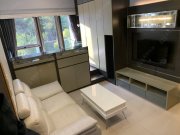 壹号云顶 沙田 低层 1697752 售盘