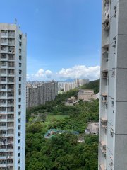 慈愛苑 黃大仙 高層 T125465 售盤