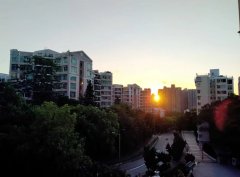 新峰花園 大埔 低層 016637 售盤