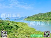 企嶺下老圍 馬鞍山 全幢 1687046 售盤