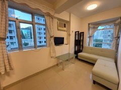 沙田中心 沙田 低层 1745604 售盘