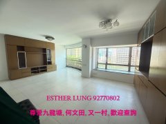 帝庭園 油麻地 K149124 售盤