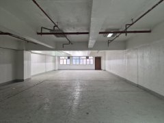 海辉工业中心 沙田 中层 C092503 售盘