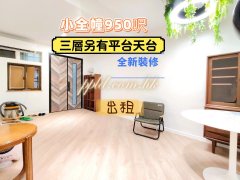 新裝修[小全幢]950呎三層.有天台 元朗 全幢 092039 售盤