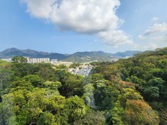 富豪山峰 沙田 中層 1825042 售盤