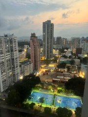 好順福大廈 元朗 高層 000098 售盤