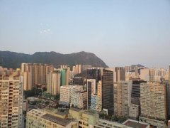启德花园 横头磡 高层 S154875 售盘