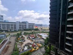 笋价出售 缩图 8