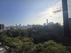 京士柏山 第06座