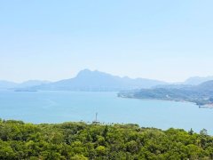 富善村 大埔 高層 T155561 售盤