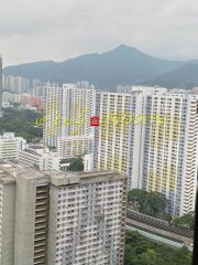 博康村 沙田 低層 H170830 售盤