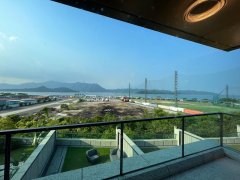 雲海 馬鞍山 全幢 1842118 售盤
