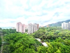 漣山 屯門 C005574 售盤