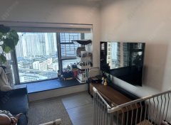 将军澳中心 将军澳 中层 1803300 售盘