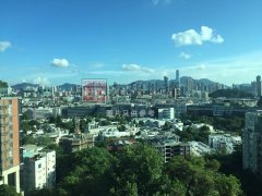 和域台 九龙塘 高层 T142163 售盘