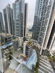 两房梗，廰大房大 缩图 8