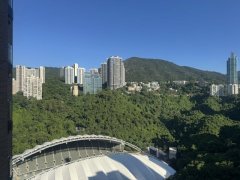 比華利山 跑馬地 高層 M120986 售盤