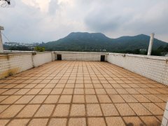 大網仔 西貢 高層 012979 售盤