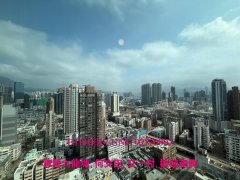 陶源 九龍塘 K129005 售盤
