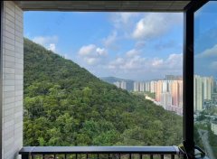 翠嶺峰 將軍澳 高層 1828100 售盤