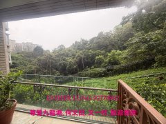 畢架山一號 九龍塘 K129292 售盤