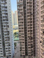 广明苑 将军澳 高层 F176059 售盘