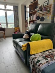 美盈苑 沙田 T182439 售盘