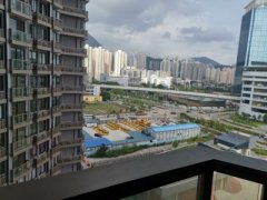 全市场当谷，必定要睇！ 缩图 2