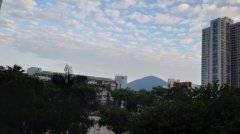 富善村 大埔 低層 R124287 售盤
