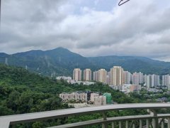 名城 沙田 高層 T032923 售盤