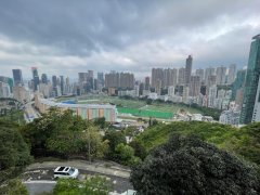 東山台24號 東半山 低層 E215494 售盤