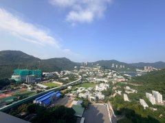 la montagne 黃竹坑 1846018 售盤