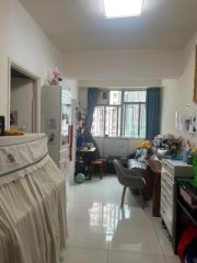筍價出售 縮圖 1