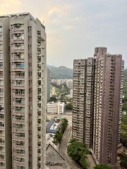 運頭塘村 大埔 高層 W160371 售盤