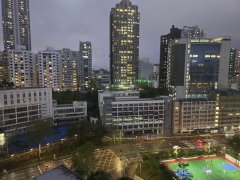 丽晶楼 何文田 高层 T153687 售盘