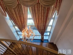 麗珊園 九龍塘 全幢 1875364 售盤