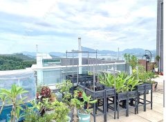 嵐山 大埔 高層 1829412 售盤