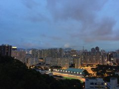 新麗花園 牛池灣 高層 G126358 售盤
