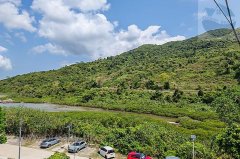 企嶺下老圍 西貢 高層 S041793 售盤