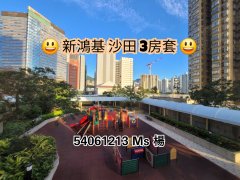 滨景花园 沙田 低层 1815284 售盘