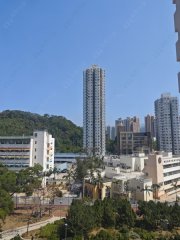 花园城 沙田 中层 1818634 售盘